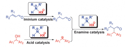 30. The versatile roles of ammonium salt catalysts in enantioselective reduction and alkylation of a,b-unsaturated aldehydes: iminium catalysis,enamine catalysis and acid catalysis, Shi-Kai Xiang and Ning Jiao, Chem. Commun., 2011, 47, 5007