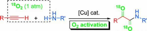 19. Dioxygen Activation under Ambient Conditions: Cu-Catalyzed Oxidative Amidation−Diketonization of Terminal Alkynes Leading to α-Ketoamides, Chun Zhang and Ning Jiao*, J. Am. Chem. Soc., 2010, 132 (1), pp 28–29, DOI: 10.1021/ja908911n