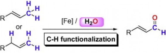 29. Iron-facilitated direct oxidative C–H transformation of allyl arenes to alkenyl aldehydes, Teng Wang, Li-He Zhang and Ning Jiao*, Tetrahedron Letters 52 (2011) 3208–3211, doi:10.1016/j.tetlet.2011.04.041