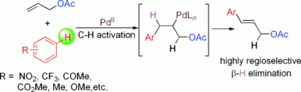 14. PdII-Catalyzed Highly Selective Arylation of Allyl Esters via C-H Functionalization of Unreactive Arenes with Retention of the Traditional Leaving Group, Delin Pan, Miao Yu,* and Ning Jiao*,  Chem. Asian J. 2010, 5, 1090