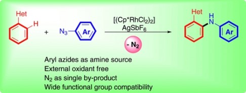 62. Rh-Catalyzed Diarylamine Synthesis by Intermolecular C–H Amination of Heteroarylarenes, Eur. J. Org. Chem. 2013, 7480, DOI: 10.1002/ejoc.201301430