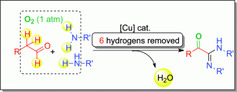 51. Multiple Oxidative Dehydrogenative Functionalization of Arylacetaldehydes Using Molecular Oxygen as Oxidant Leading to 2-Oxo-acetamidines, Chun Zhang,Liangren Zhang and Ning Jiao*, Adv. Synth. Catal. 2012, 354, 1293