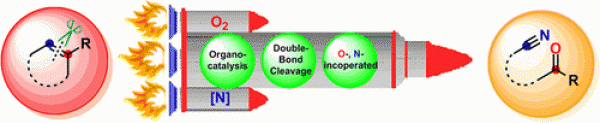 63. TEMPO-catalyzed Aerobic Oxygenation and Nitrogenation of Olefins via C═C Double-Bond Cleavage, Teng Wang and Ning Jiao*, J. Am. Chem. Soc., 2013, 135 (32), pp 11692–11695, DOI: 10.1021/ja403824y