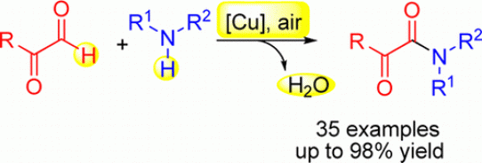 53. Copper-Catalyzed Aerobic Oxidative Cross-Dehydrogenative Coupling of Amine and α-Carbonyl Aldehyde: A Practical and Efficient Approach to α-Ketoamides with Wide Substrate Scope, Chun Zhang and Ning Jiao*, Org. Lett., 2012, 14 ,pp 3280