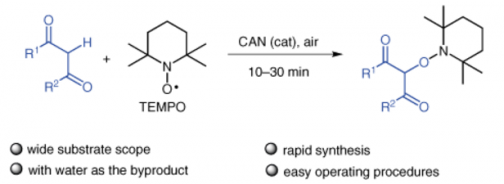 72. CAN-Catalyzed Rapid C–O Bond Formation towards α-Aminoxylation of Ketones, Peng Feng, Li-He Zhang, Ning Jiao*, Synlett 2014; 25(19): 2717-2720, DOI: 10.1055/s-0034-1379102