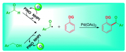 109. NHPI and palladium cocatalyzed aerobic oxidative acylation of arenes through a radical process, Yu-Feng Liang, Xiaoyang Wang and Ning Jiao*, Chem. Commun., 2016,52, 1416-1419, 10.1039/C5CC08945J