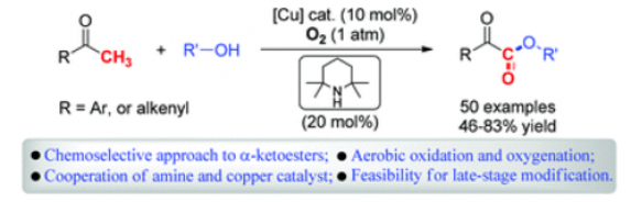 88. TEMP and copper cocatalyzed oxygenation of ketones with molecular oxygen: chemoselective synthesis of α-ketoesters, Xiaoqiang Huang, Xinwei Li, Miancheng Zou and Ning Jiao*, Org. Chem. Front., 2015, 2, 354, DOI: 10.1039/c5qo00028a