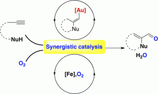 96. Synergistic Gold and Iron Dual Catalysis: Preferred Radical Addition toward Vinyl–Gold Intermediate over Alkene, Haihui Peng, Ning Jiao*, and Xiaodong Shi*, J. Am. Chem. Soc., 2015, 137 (28), pp 8912–8915, DOI: 10.1021/jacs.5b05415