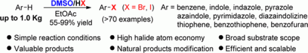 99. Efficient and Practical Oxidative Bromination and Iodination of Arenes and Heteroarenes with DMSO and Hydrogen Halide: A Mild Protocol for Late-Stage Functionalization,Song Song and Ning Jiao*, Org. Lett., 2015, 17 (12), pp 2886–2889