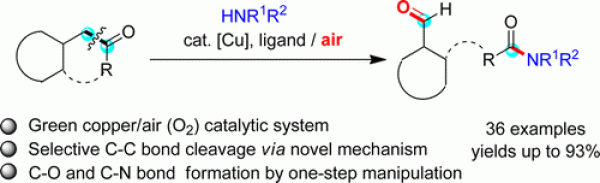 102. Copper-Catalyzed Aerobic Oxidative C–C Bond Cleavage of Unstrained Ketones with Air and Amines, Wang Zhou*, Wenyou Fan and Ning Jiao*, Org. Lett., 2015, 17 (10), pp 2542–2545, DOI: 10.1021/acs.orglett.5b01114