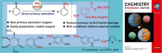 139.  Fe-catalyzed Amination of (Hetero)Arenes with a Redox-active Aminating Reagent under Mild Conditions, Jianzhong Liu, Kai Wu, Tao Shen, Yujie Liang, Miancheng Zou, Yuchao Zhu and Ning Jiao*, Chem. Eur. J. 2017, 23(3), 563-567.