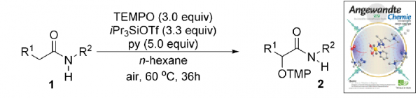 145. Selective alpha-Oxyamination and Hydroxylation of Aliphatic Amides. Xinwei Li, Fengguirong Lin, Kaimeng Huang, Jialiang Wei, Xinyao Li, X. Wang, X. Geng, Ning Jiao* Angew. Chem. Int. Ed. 56, 12307-12311.