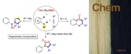 149. Chemoselective Nitrosylation of Anilines and Alkynes via Fragmentary or Complete NO Incorporation Jun Pan¹, Xinyao Li¹, Fengguirong Lin, Jianzhong Liu, Ning Jiao*, Chem. 2018, 4(6), 1427-1442.