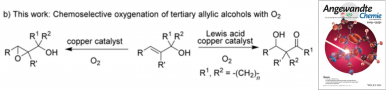 157.Selective Aerobic Oxygenation of Tertiary Allylic Alcohols with Molecular Oxygen. Bencong Zhu, Tao Shen, Xiaoqiang Huang, Yuchao Zhu, Song Song, Ning Jiao*. Angew. Chem. Int. Ed. 2019, 131(32), 11144-11148.