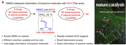 159. DMSO-catalysed late-stage chlorination of (hetero)arenes. Song Song, Xinyao Li, Jialiang Wei, Weijin Wang, Yiqun Zhang, Lingsheng Ai, Yuchao Zhu, Xiaomeng Shi, Xiaohui Zhang, Ning Jiao*. Nat Catal. 2020, 3, 107–115.