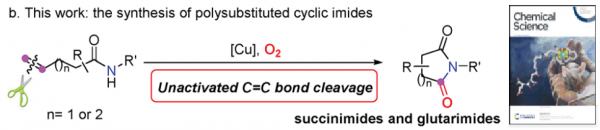 156.Cu-catalyzed oxygenation of alkene-tethered amides with O2 via unactivated C=C bond cleavage: a direct approach to cyclic imides. Junhua Li,  J. Wei, B. Zhu, T. Wang, Ning Jiao*. Chem. Sci. 2019,10, 9099-9103.