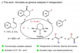 16. Weijin Wang, Xinyao Li, Xiaoxue Yang, Lingsheng Ai, Zhiwen Gong, Ning Jiao, Song Song*, Oxoammonium salts are catalysing efficient and selective halogenation of olefins, alkynes and aromatics. Nat. Commun. 2021, 12 , 3873.